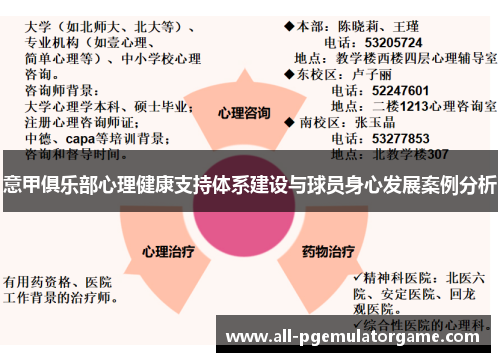 意甲俱乐部心理健康支持体系建设与球员身心发展案例分析
