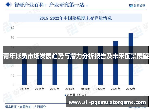 青年球员市场发展趋势与潜力分析报告及未来前景展望