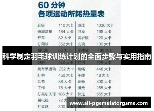 科学制定羽毛球训练计划的全面步骤与实用指南