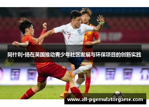 阿什利·扬在英国推动青少年社区发展与环保项目的创新实践