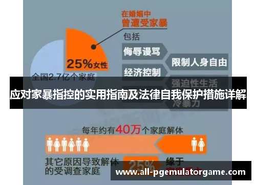 应对家暴指控的实用指南及法律自我保护措施详解