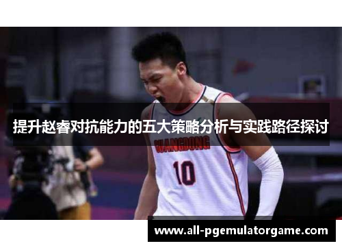 提升赵睿对抗能力的五大策略分析与实践路径探讨