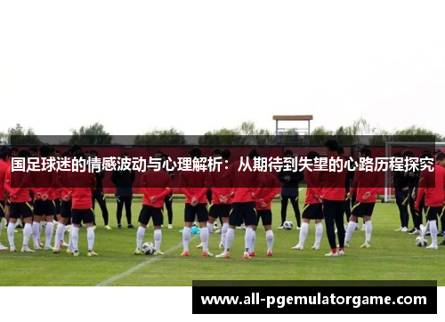 国足球迷的情感波动与心理解析：从期待到失望的心路历程探究