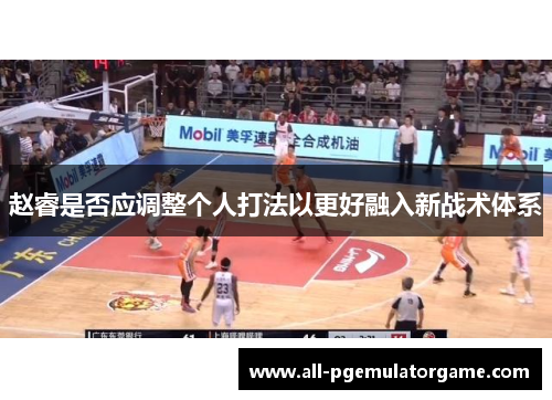 赵睿是否应调整个人打法以更好融入新战术体系