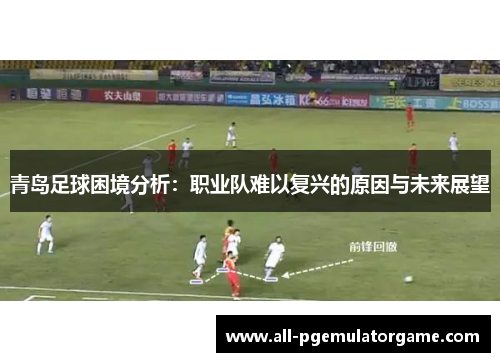 青岛足球困境分析:职业队难以复兴的原因与未来展望 青岛足球困境分析:职业队难以复兴的原因与未来展望