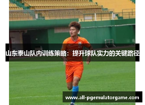 山东泰山队内训练策略：提升球队实力的关键路径