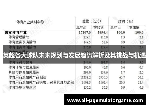 英超各大球队未来规划与发展趋势解析及其挑战与机遇 英超各大球队未来规划与发展趋势解析及其挑战与机遇