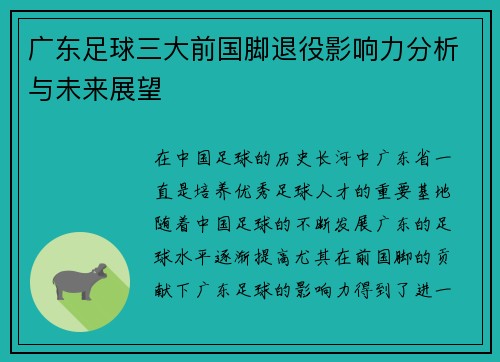 广东足球三大前国脚退役影响力分析与未来展望