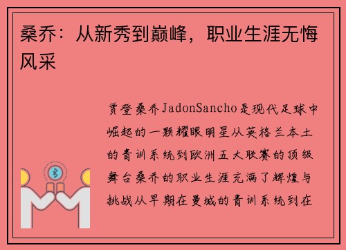 桑乔：从新秀到巅峰，职业生涯无悔风采